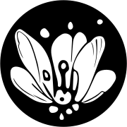PollinationsAI