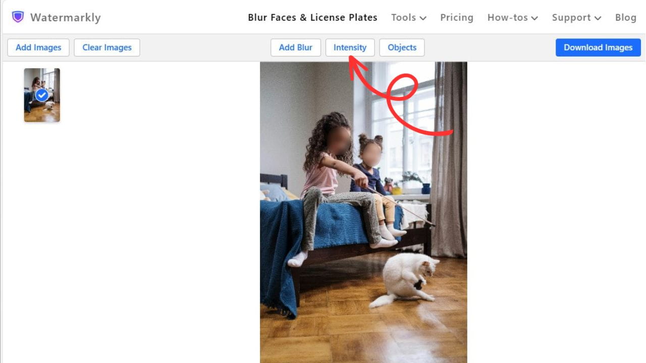 Watermarkly(图2) Watermarkly