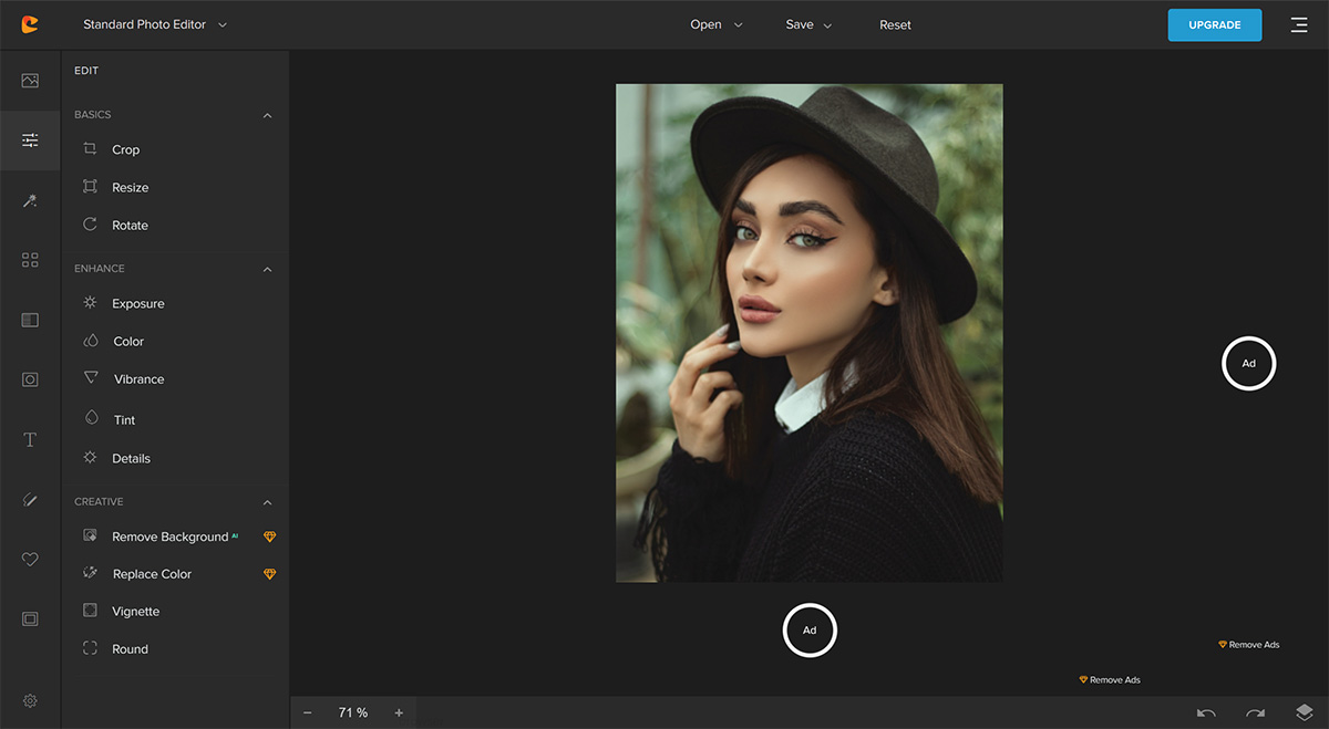 Cartoonize Yourself(图2) CartoonizeYourself