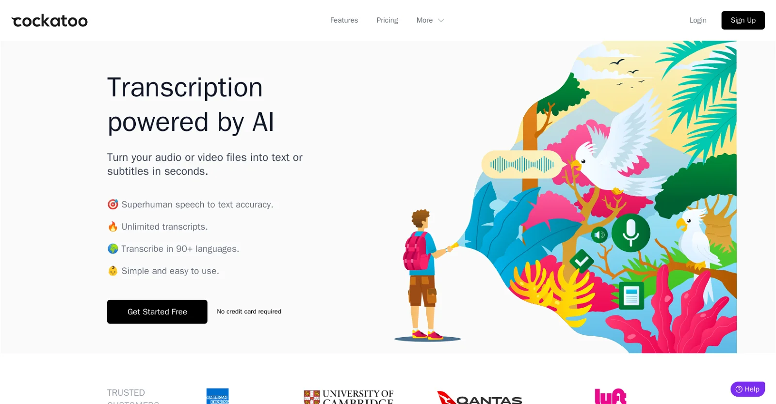 Cockatoo(图1) Cockatoo