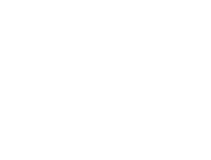 FluxAI