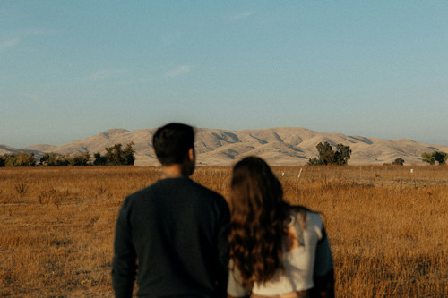 DescribePic(图2) DescribePic