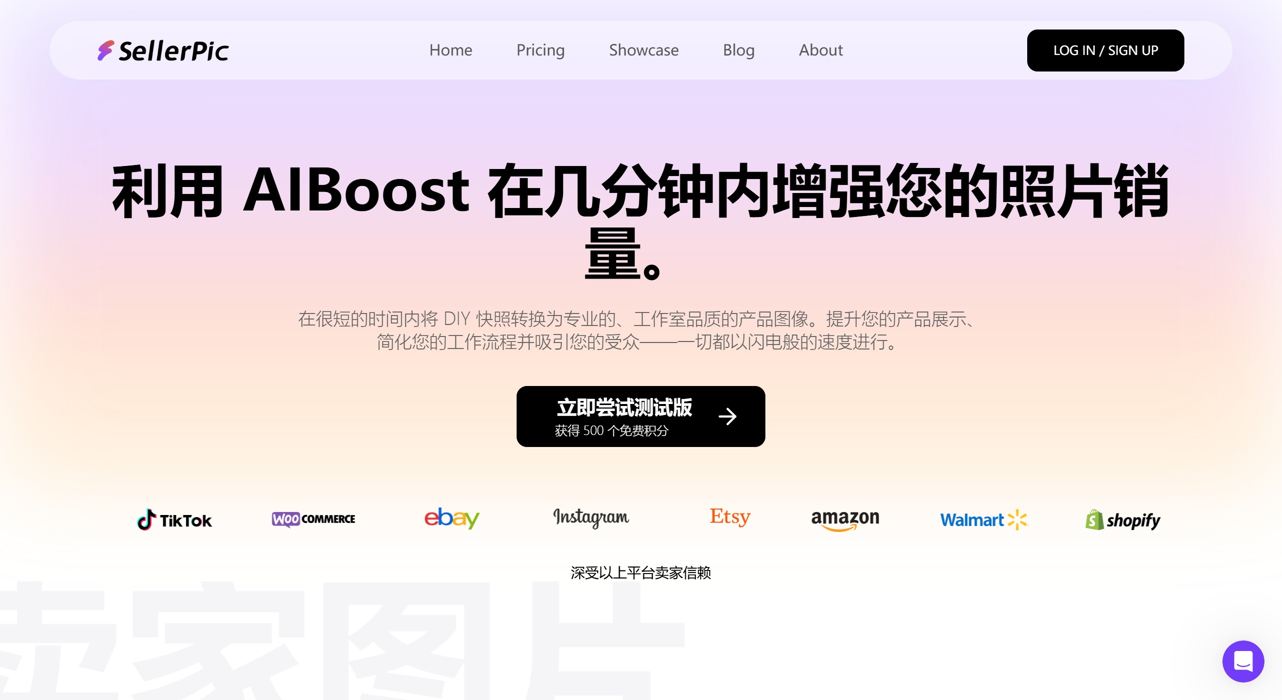 SellerPic主要功能 SellerPic.AI