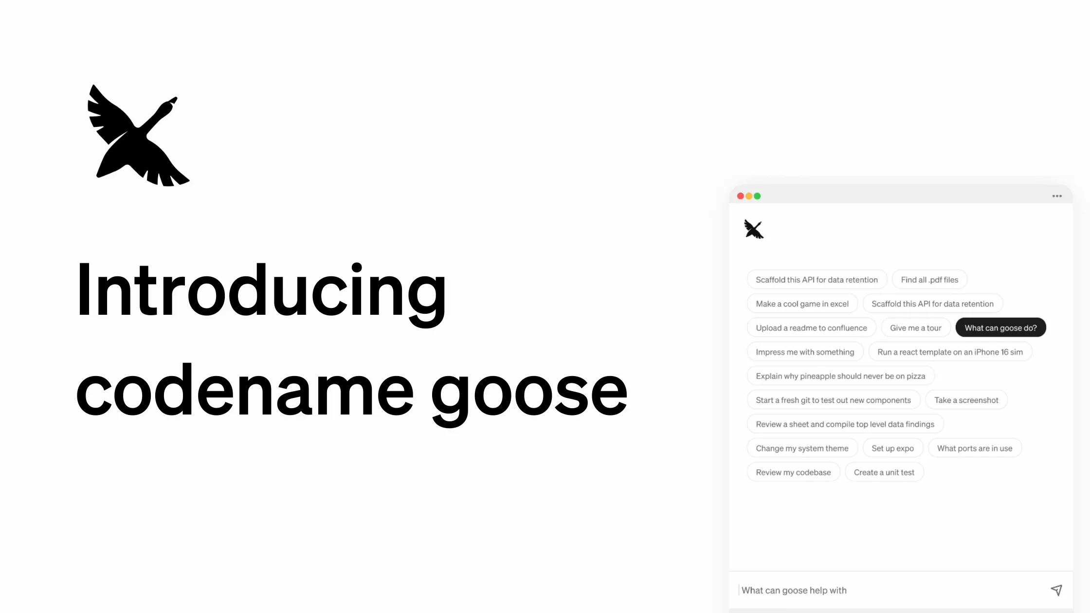 CodeNameGoose