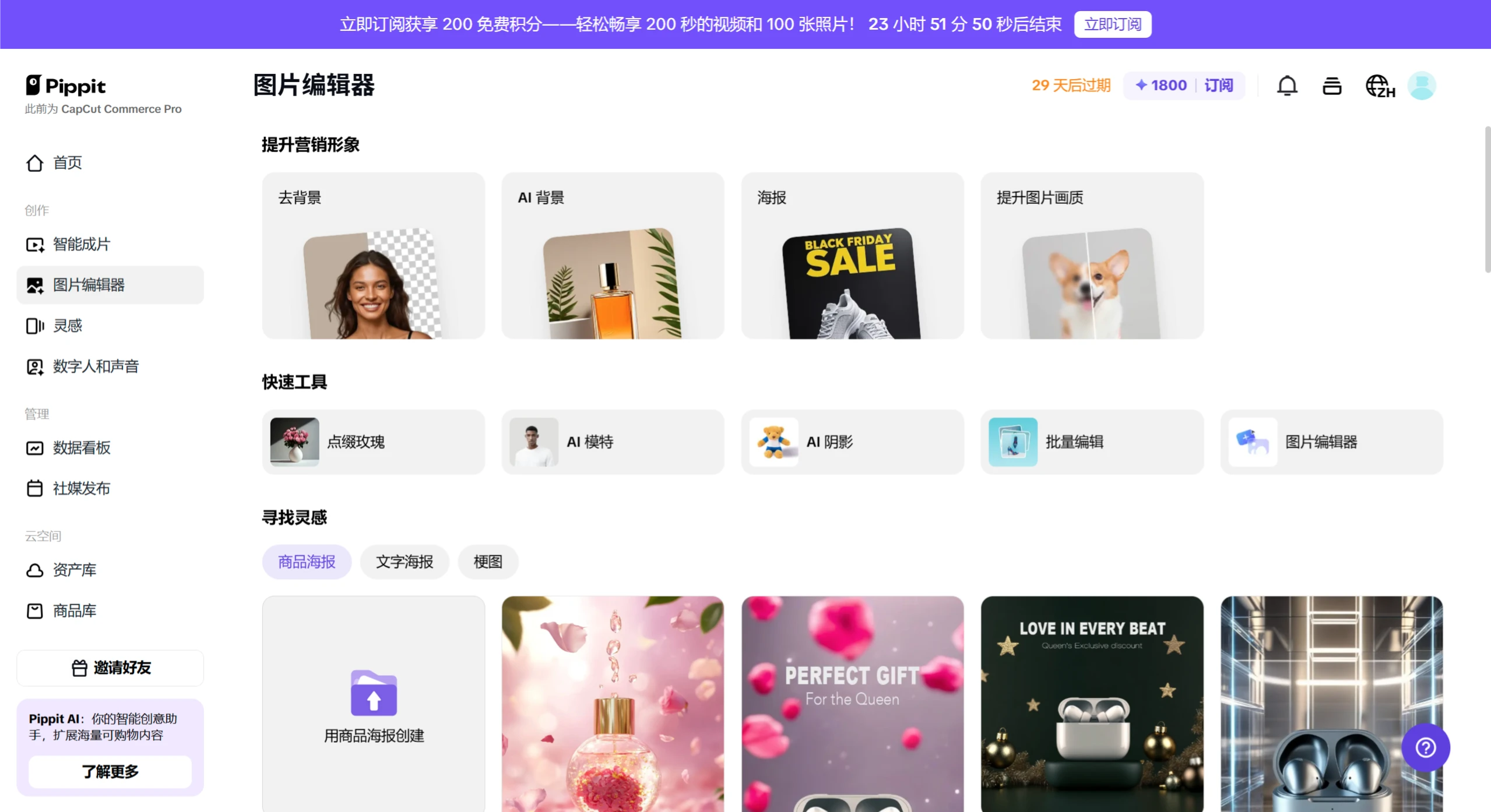 图片编辑器 PippitAI