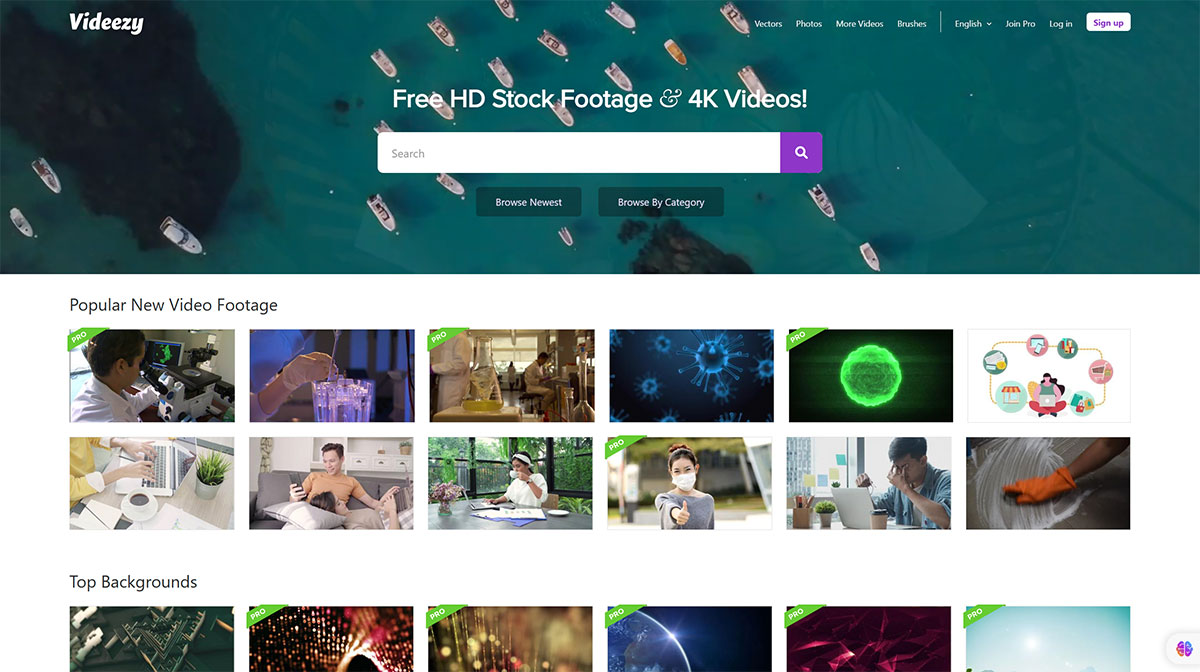 Videezy(图1) Videezy