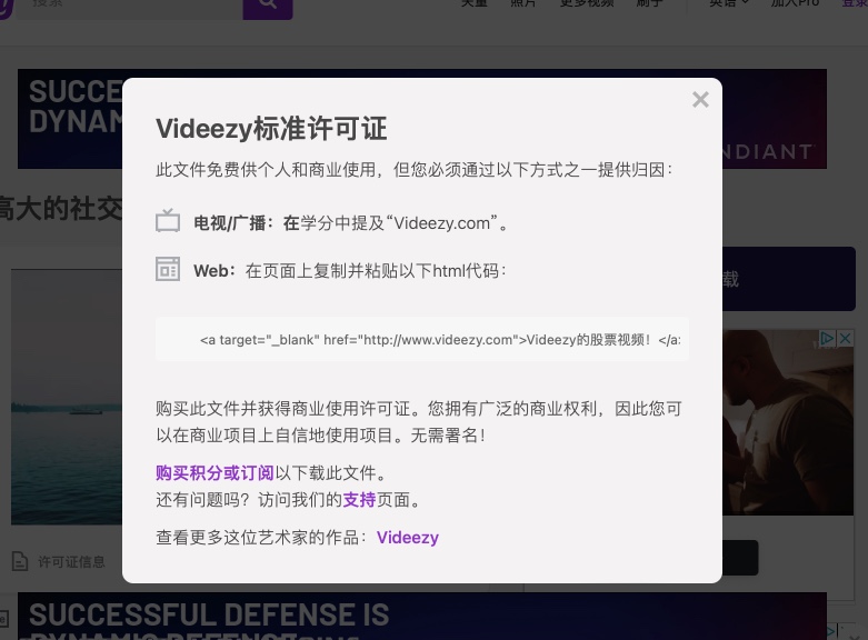 Videezy(图1) Videezy